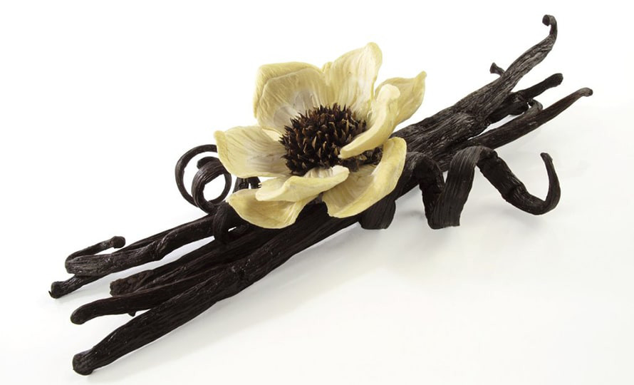 Vanilla - Gia vị đắt thứ 2 thế giới