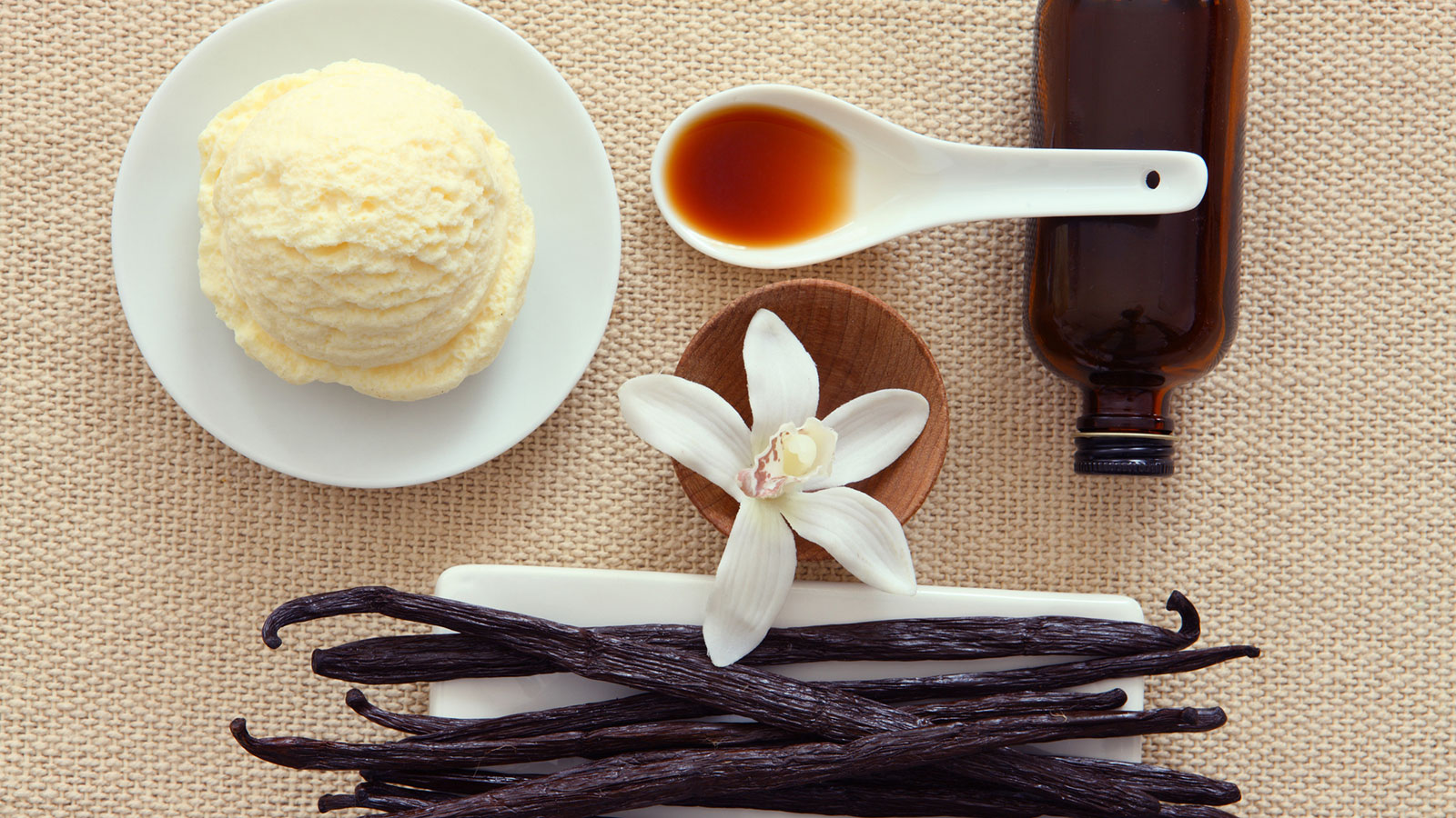 Vanilla món quà vô giá từ thiên nhiên